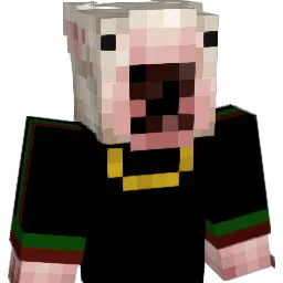 Akisa00 Minecraft avatar bust