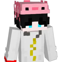 Akosas Minecraft avatar bust