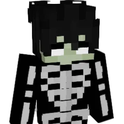 Akusteen's Minecraft skin