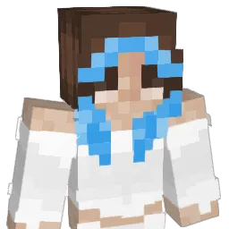 Aladi14 Minecraft avatar bust
