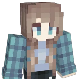 Album_you Minecraft avatar bust