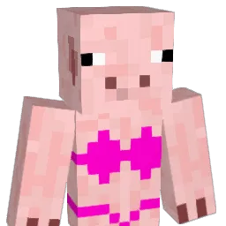Alchol Minecraft avatar bust