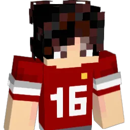 AleCRAFT1NG Minecraft avatar bust