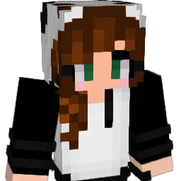 Aleebrr Minecraft avatar bust