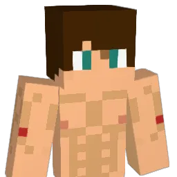 Alex_999 Minecraft avatar bust