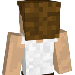 Alex__202 Minecraft avatar bust