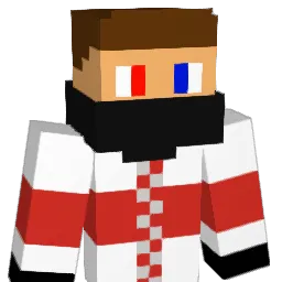 Algis_001 Minecraft avatar bust