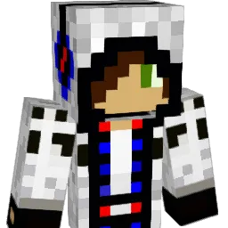 Alhh77 Minecraft avatar bust