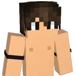 AliTxT31 Minecraft avatar bust