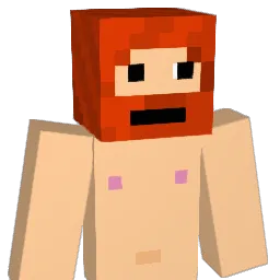 AllMightyWalrus Minecraft avatar bust