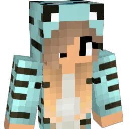 Allcats143 Minecraft avatar bust