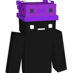 Allotic Minecraft avatar bust