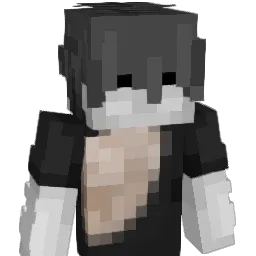 Allways_dudh Minecraft avatar bust