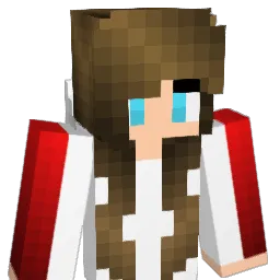 Ally1223's Minecraft skin