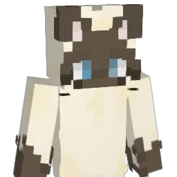AlmiranteMichi