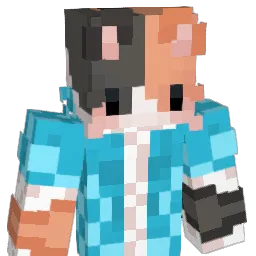 AlonP_'s Minecraft skin