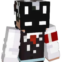 AluDark_ Minecraft avatar bust