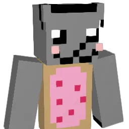 AlyCat2019