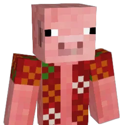 AmICrazy_556 Minecraft avatar bust