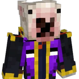 AmPro__ Minecraft avatar bust