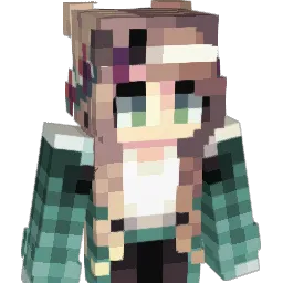 Ambitionierte