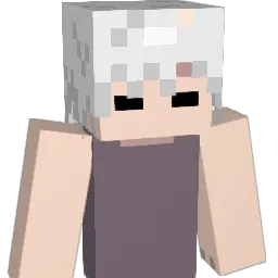 Ame_momo Minecraft avatar bust