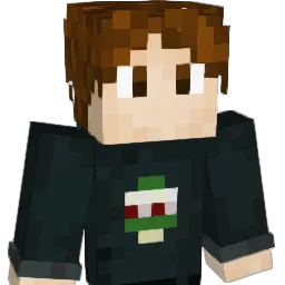 Amesys Minecraft avatar bust