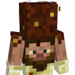 Amigo781 Minecraft avatar bust