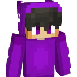 AminSmania Minecraft avatar bust