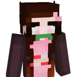 Amir2402 Minecraft avatar bust