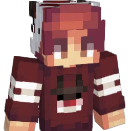 AmirMinecraftMan's Minecraft skin