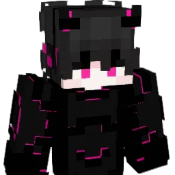 Amir_PM