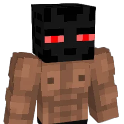 AmriixACE Minecraft avatar bust