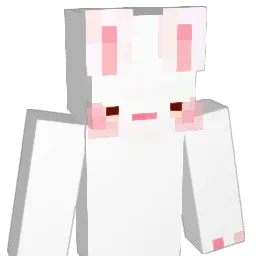 AmyA1113 Minecraft avatar bust