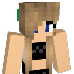 An4rchy_6 Minecraft avatar bust