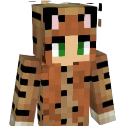AnMeow's Minecraft skin