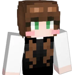 An_0430's Minecraft skin