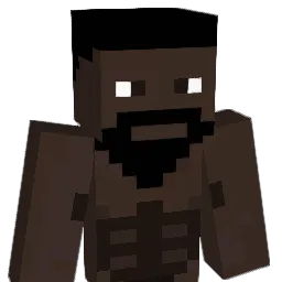 Anardathepanda Minecraft avatar bust