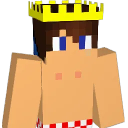 Andreasnedg Minecraft avatar bust