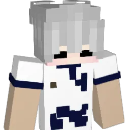 Andris20111 Minecraft avatar bust