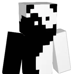 Andynoo