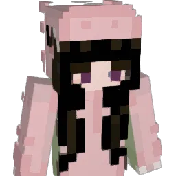 Anet31 Minecraft avatar bust