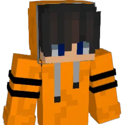 AnewBorn00 Minecraft avatar bust