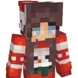 AngusPvP Minecraft avatar bust