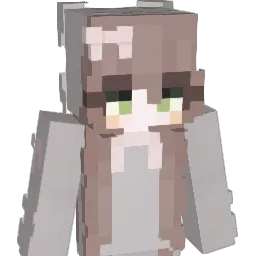 AniLR