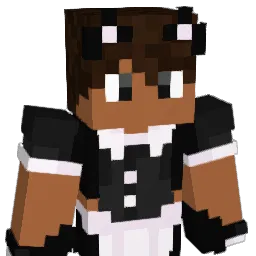 Aniche Minecraft avatar bust