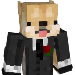 AnimanPlay Minecraft avatar bust