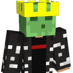 AnisNotProGamer's Minecraft skin
