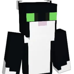 Anisacarp Minecraft avatar bust