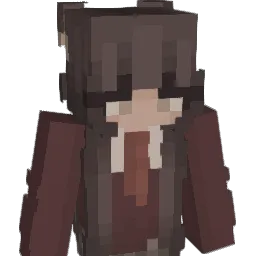 Ankless_ Minecraft avatar bust
